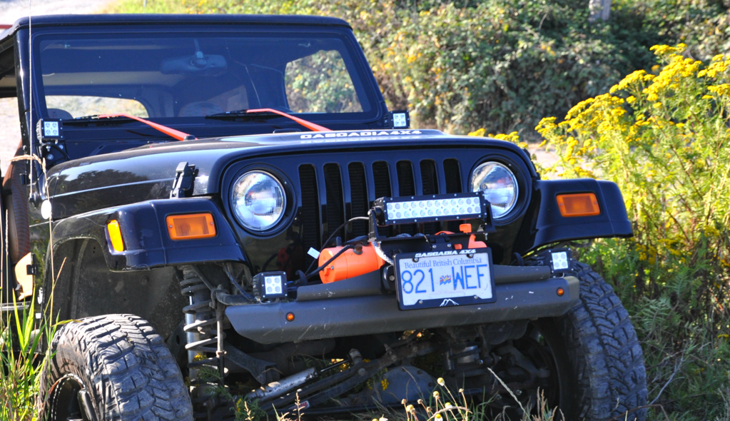 Cascadia Flipster "Lite" - Fairlead Light Mount Integrated with Winch License Plate System